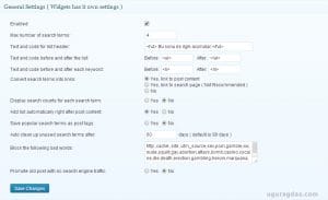 SEO SearchTerms Tagging 2 Ayarları
