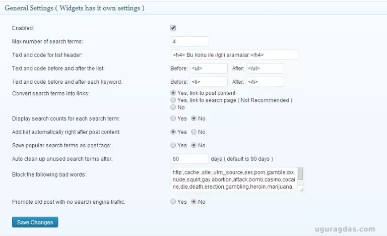 SEO SearchTerms Tagging 2 Ayarları