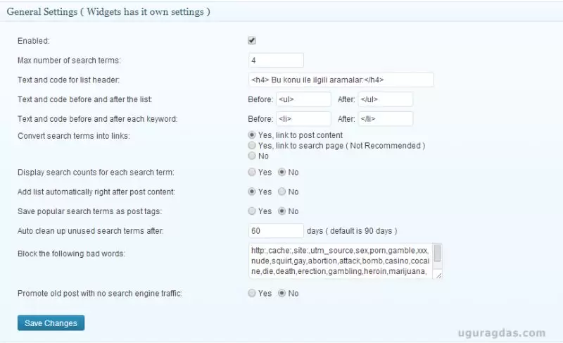 SEO SearchTerms Tagging 2 Ayarları