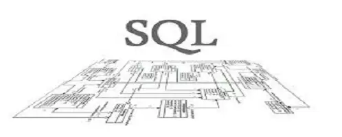 SQL Procedure ile Dinamik TOPN Sorgusu