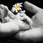 Bugün Anneler Günü