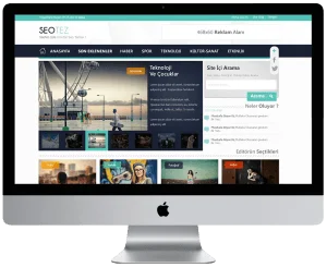 Ücretsiz Seotez Seo WordPress Teması
