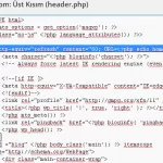 WordPress Otomatik Sayfa Yenileme Refresh Kodu