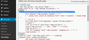 WordPress Otomatik Sayfa Yenileme Refresh Kodu