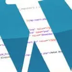 WordPress istediğiniz kategorinin yazılarını listeleme
