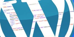 WordPress istediğiniz kategorinin yazılarını listeleme