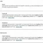 E-Devlet BTK Borç Alacak – Verecek Sorgulayın