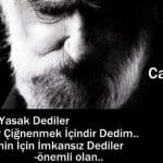 Aşk şiirleri ve can yücel