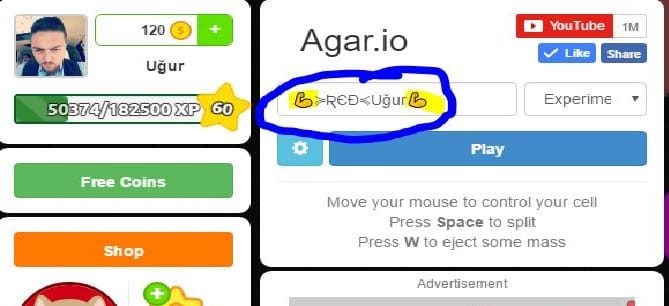 agario sekilli nickler 1