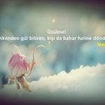 Karışık Facebook ve Twitter Sözleri