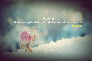 Karışık Facebook ve Twitter Sözleri