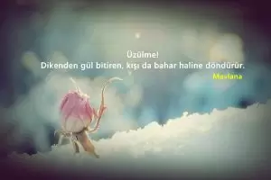 Karışık Facebook ve Twitter Sözleri
