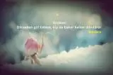 Karışık Facebook ve Twitter Sözleri