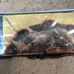 Bataryalar Neden Patlar?