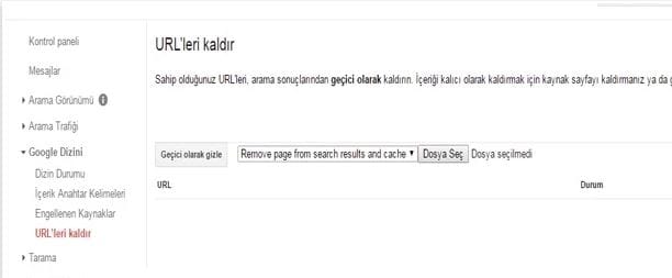 WordPress Çin Virüsü – Çözümü