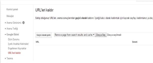 Google url kaldırma