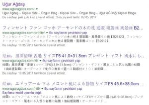 WordPress Çin Virüsü – Çözümü