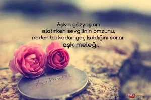 Etkileyici Güzel Aşk Sözleri
