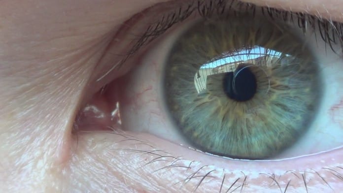 İnsan Gözü Kaç Megapikseldir?