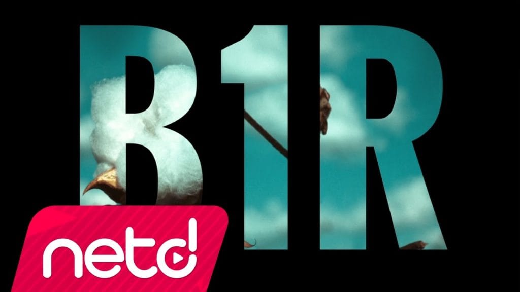 Hayki – B1R Sözleri ve Şarkısı