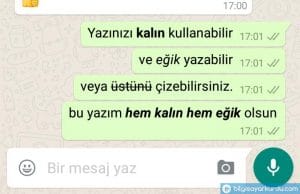 Whatsapp Yazı Tipleri – Kalın, Eğik ve Üstü Çizili Yazı Nasıl Yazılır