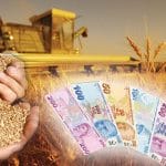 Yatırım Nedir, Tasarruf Nasıl Yatırıma Dönüştürülür?