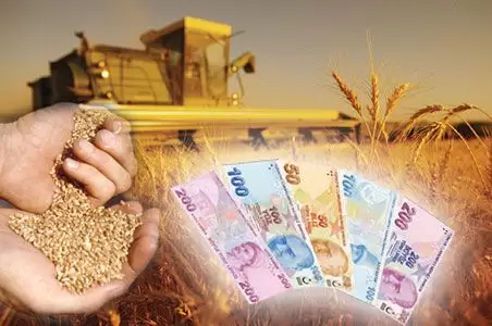 Yatırım Nedir, Tasarruf Nasıl Yatırıma Dönüştürülür?