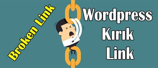 Wordpress kırık link