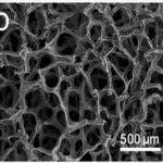 Coconut Bazlı Aktif Karbon Hangi Sektörlerde Kullanılır?