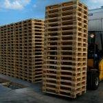 Ahşap Paletler Hangi Tür Ağaçlardan Üretilmektedir?
