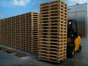 Ahşap Paletler Hangi Tür Ağaçlardan Üretilmektedir?