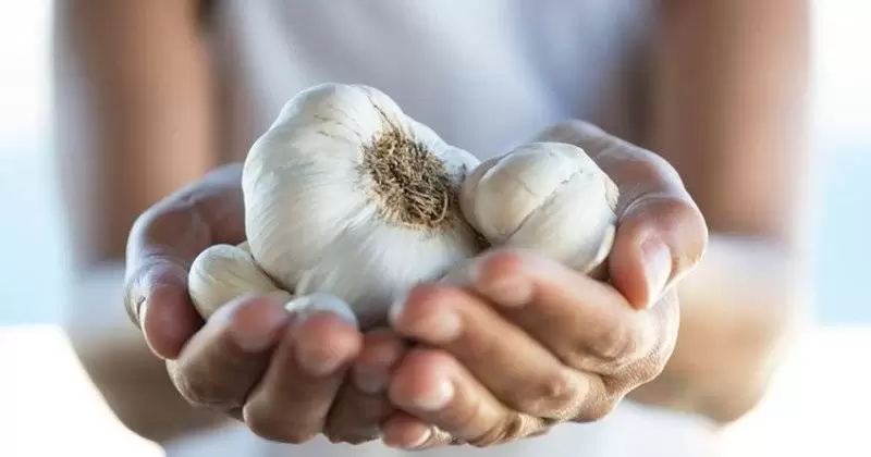 Sarımsağın Faydaları