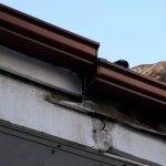 4 yıldır çatıdan inmiyor