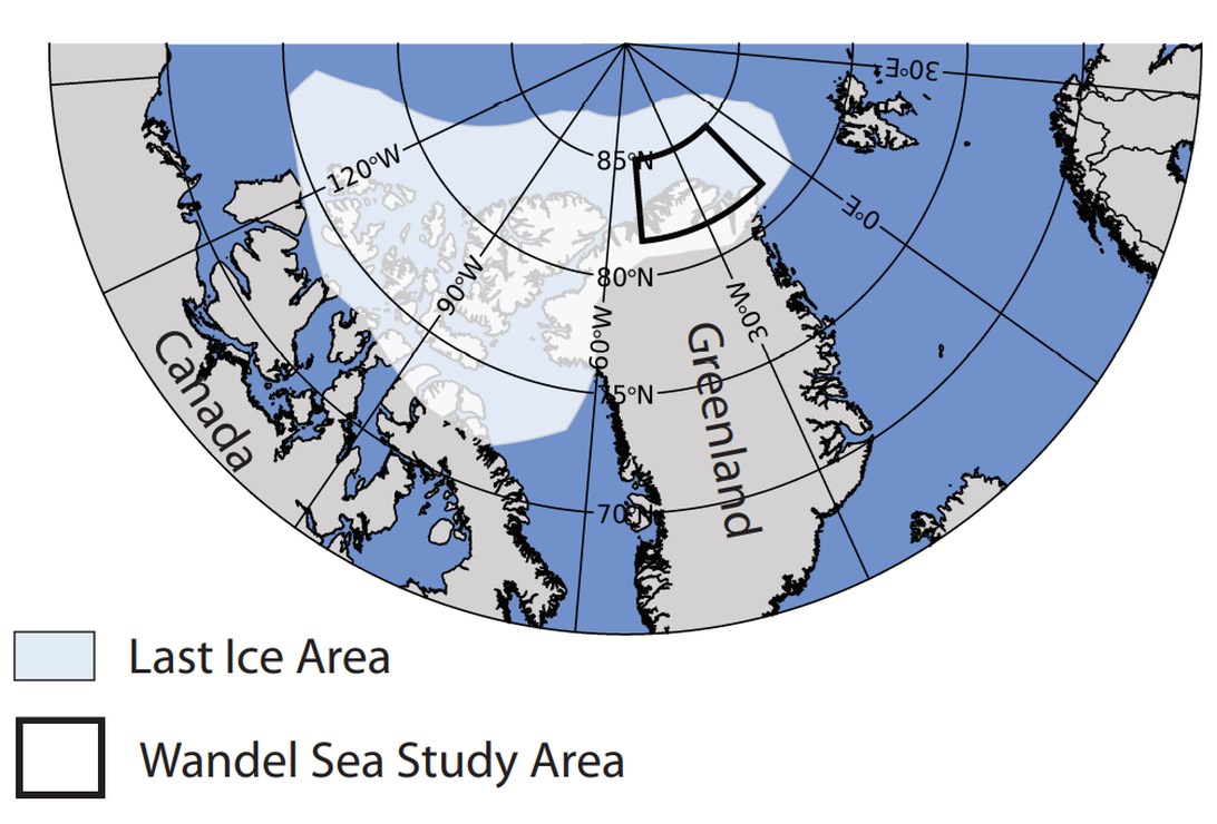 arktik deniz buzu son 40 yilda yuzde 50 oraninda eridi bilim insanlari yok olacagi tarihi hesapladi 2