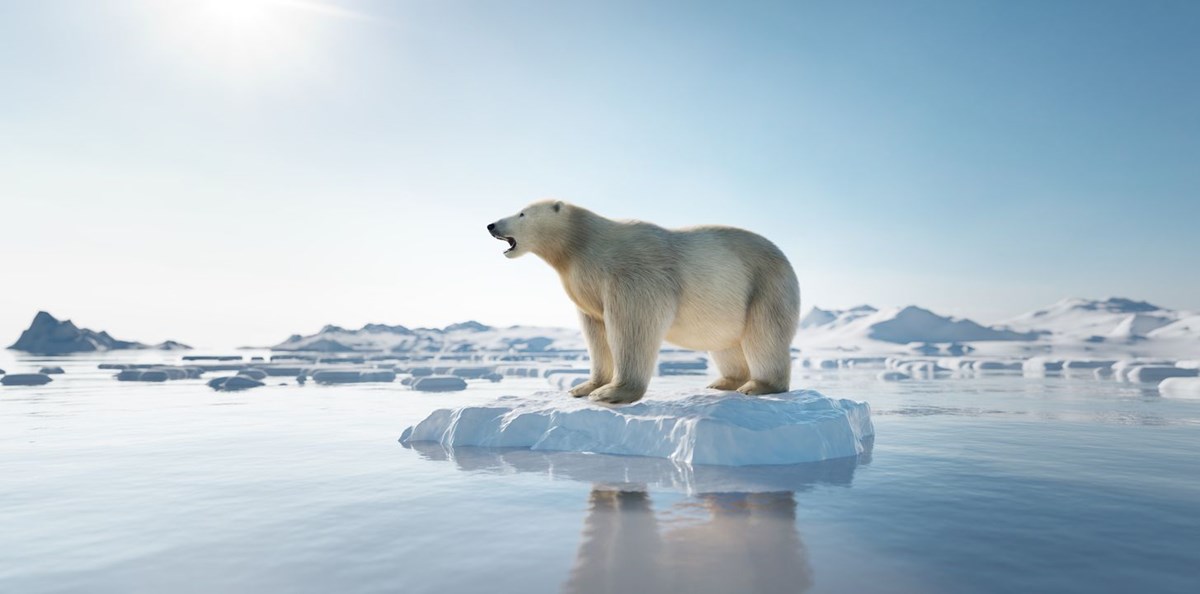 arktik deniz buzu son 40 yilda yuzde 50 oraninda eridi bilim insanlari yok olacagi tarihi hesapladi 3