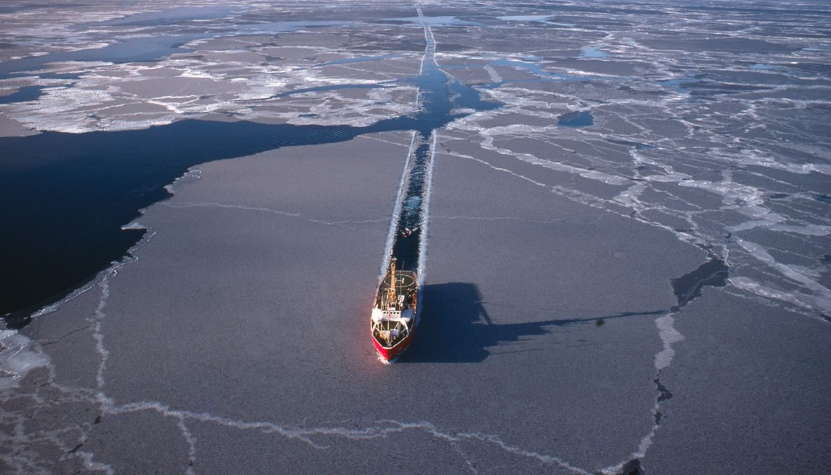 arktik deniz buzu son 40 yilda yuzde 50 oraninda eridi bilim insanlari yok olacagi tarihi hesapladi 5