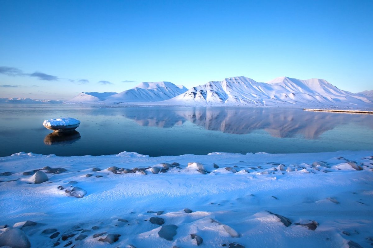 arktik deniz buzu son 40 yilda yuzde 50 oraninda eridi bilim insanlari yok olacagi tarihi hesapladi 7