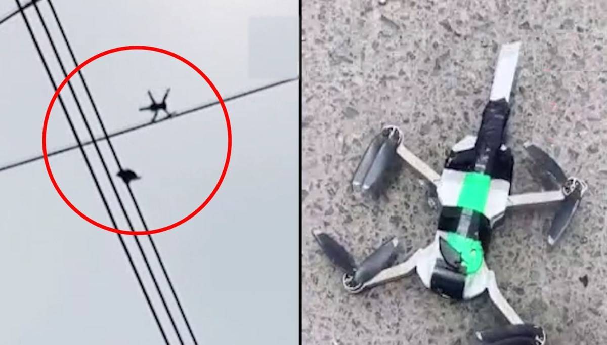 Bıçak bağlanan drone ile güvercin kurtardılar