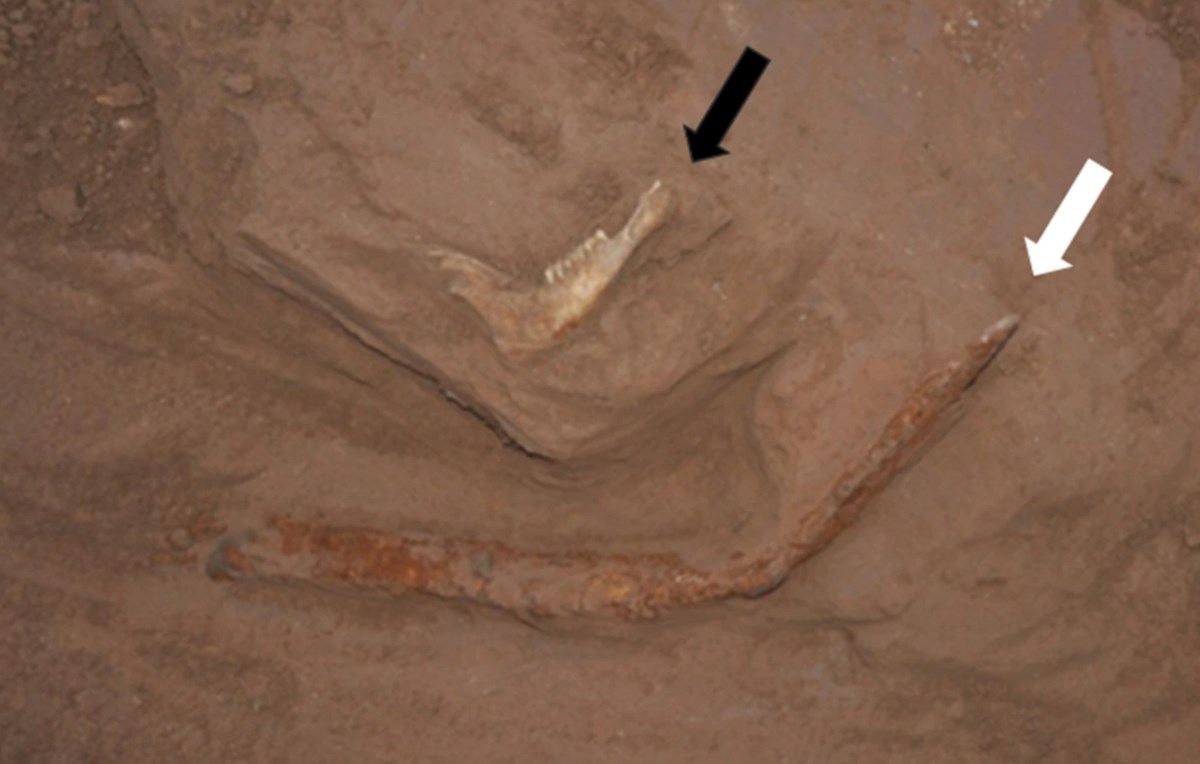 dunyanin en eski cinayet vakasi bin 300 yil sonra cozuldu 4