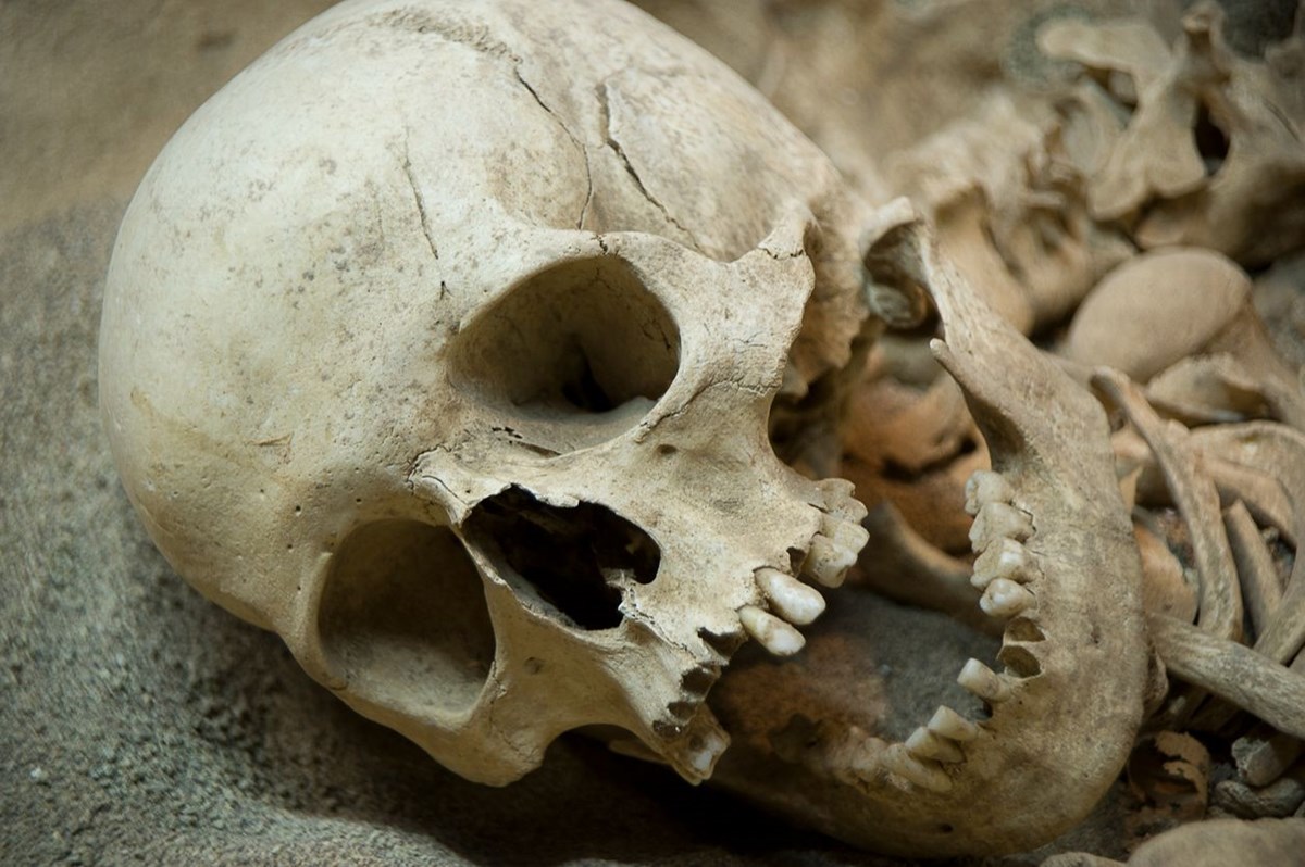 dunyanin en eski cinayet vakasi bin 300 yil sonra cozuldu 5