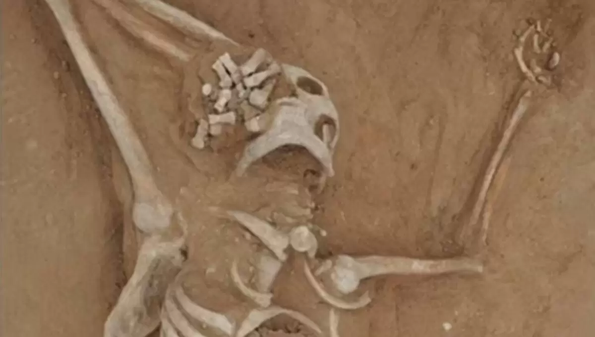 Dünyanın en eski cinayet vakası bin 300 yıl sonra çözüldü