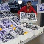 Hamsinin kilosu 10 liraya düştü