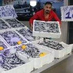 Hamsinin kilosu 10 liraya düştü
