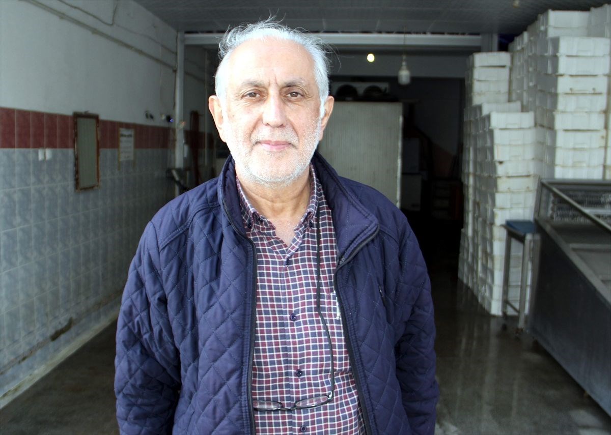 Hamsinin kilosu 10 liraya düştü