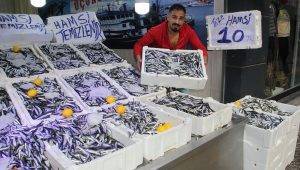 hamsinin kilosu 10 liraya dustu