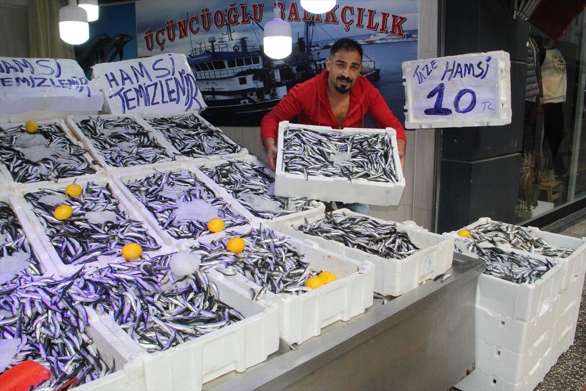 Hamsinin kilosu 10 liraya düştü