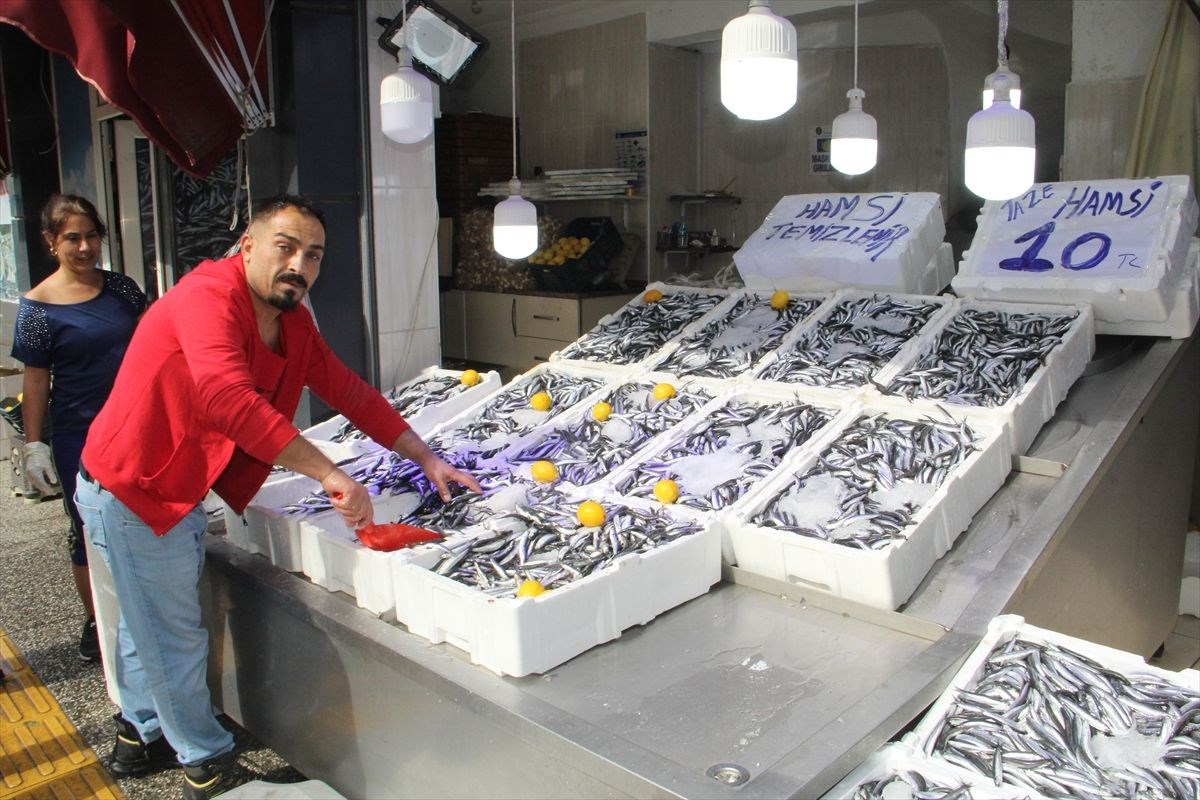 Hamsinin kilosu 10 liraya düştü