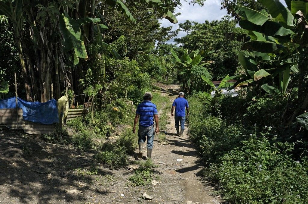 Küresel ısınma Guatemala’da tarımı yok etti: Hiçbir şeyimiz kalmadı