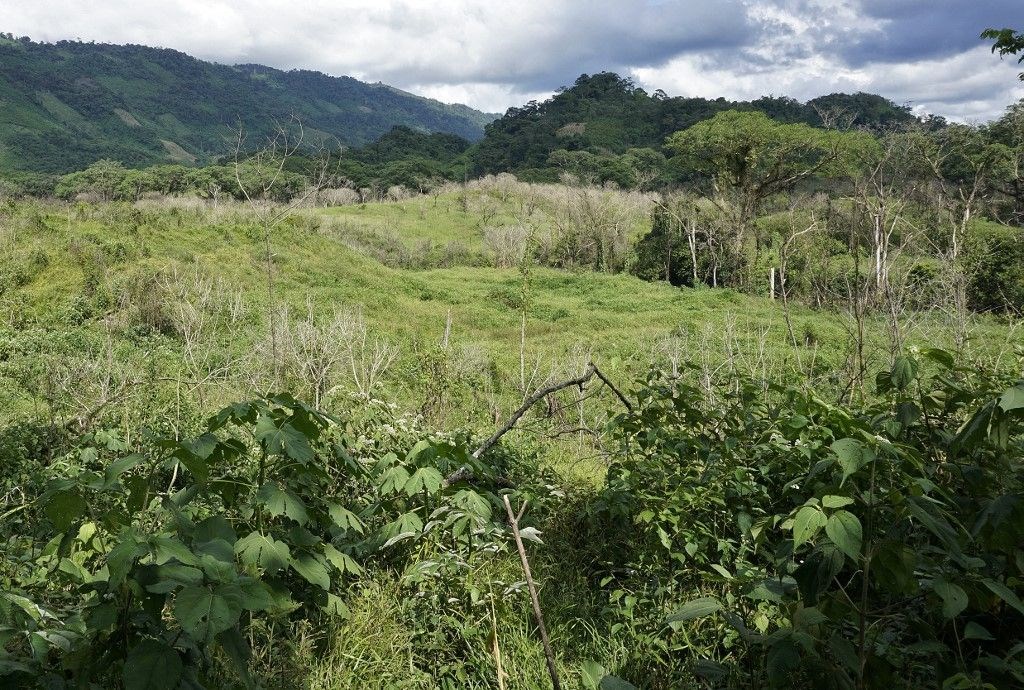 Küresel ısınma Guatemala’da tarımı yok etti: Hiçbir şeyimiz kalmadı
