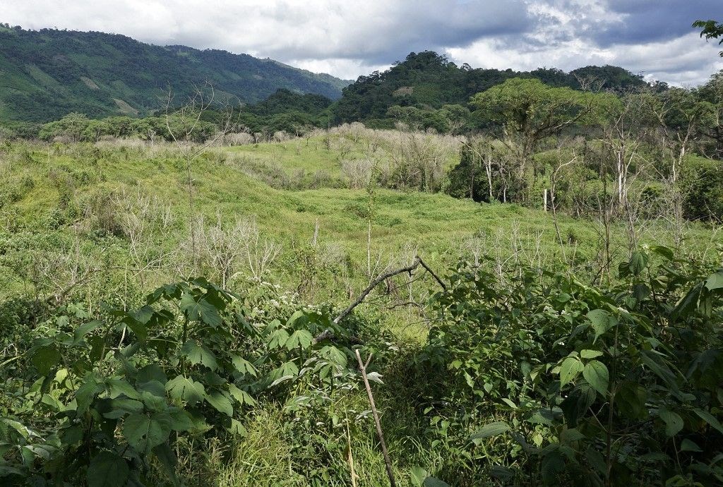 kuresel isinma guatemalada tarimi yok etti hicbir seyimiz kalmadi 5